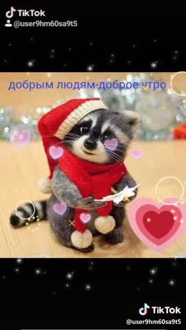 video-84c57726ee065b101bc67bfe27c24548-V