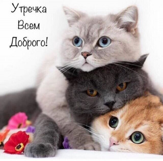 W5IWlAeX-_k