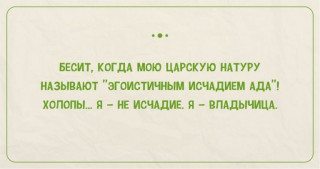 26-43-768x404