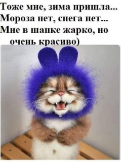 257865451_p_600_600_0