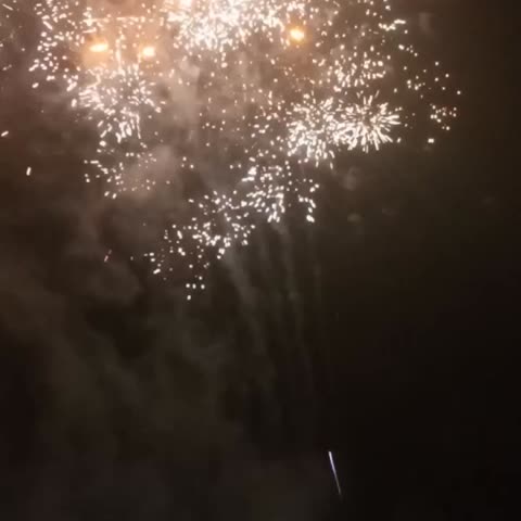 VID_27030713_093622_686