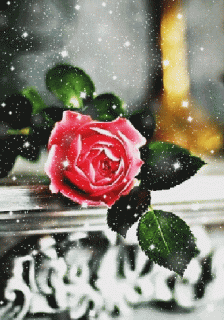 GIF_20191129_231337-