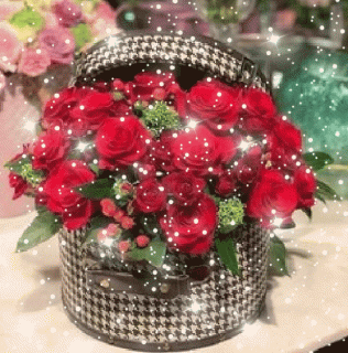 GIF_20191118_003204-