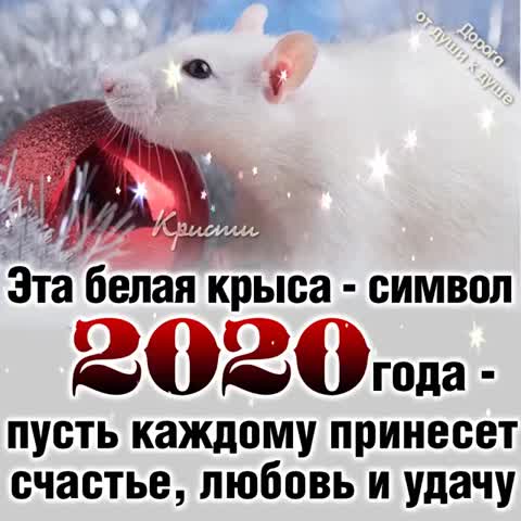Год белой мыши