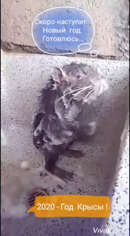 VID-20191231-WA0001