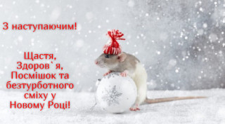quote-2019-12-22-1577008563-700x386