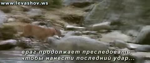 вместе_мы_сила