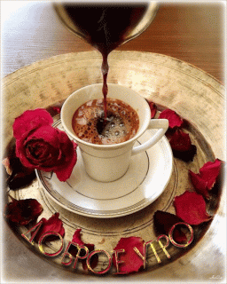 6f8b1a5