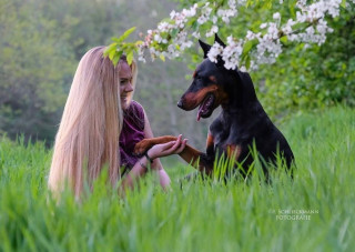 dobermanmoms___BxUxn9ZAHry___