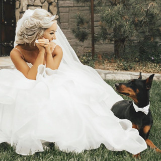 dobermanmoms___B3-HzIvAtpx___