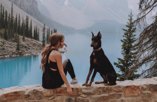 dobermanmoms___BxNbJZ-AVVW___
