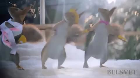 Зажигаем_Качается_земля_Шуточный_клип