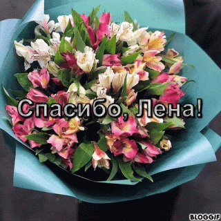 bloggif_5e10cd1a83e2d