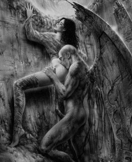 258595554_p_800_800_0