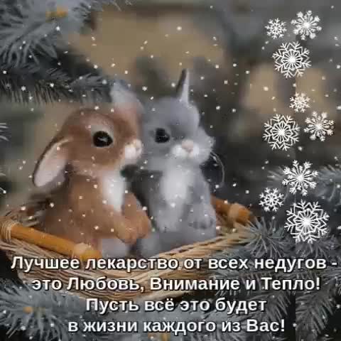 Каждому_из_Вас