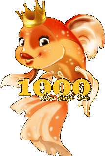 Foiz__Foiz__ytVbWWrYWVUX