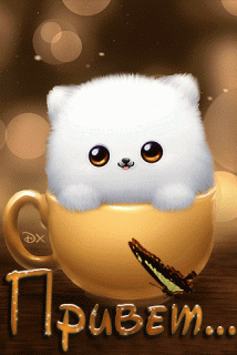 9bedd38606cbbd909bef34e30ad53ef2