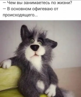 256321435_p_600_600_0