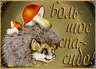ежик с грибами