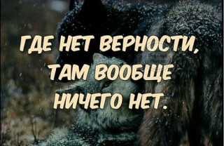 Volk-