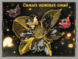 c65e0814d30cd9d365c2618d028990a6