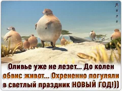 Погуляли