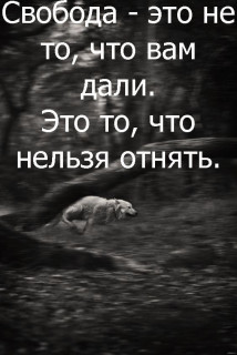 Svoboda-