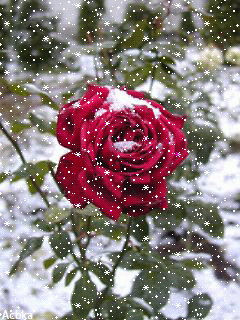 9031f6f7639b035226f6d02274c1d7f5