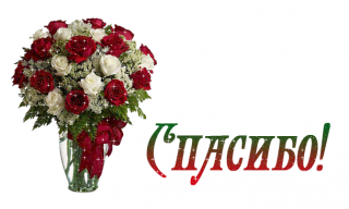 ваза_спс