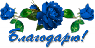 синие розы_благодарю