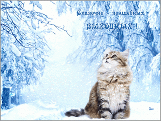 Skazochno-volshebnyih-vyihodnyih-1024x768