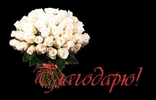 розы_благодарю