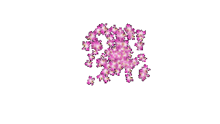 7ffc8cac319f765601201a58e523c714f12dcad0r1-800-450_hq