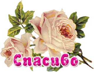 fbd9286041bc6713fbd3ff8161aec691