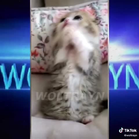 f90b63e0164208852e15c478102c089a