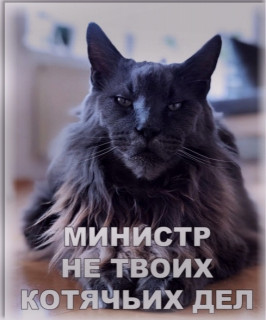 OlGUfhhB8yo