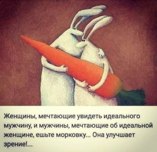 259925104_p_600_600_0