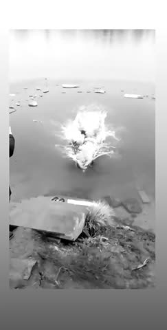 smilenko_-20200119-0002