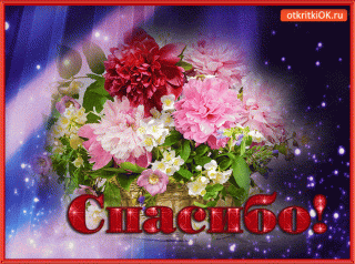 Foiz__blagodaryu-tebya-za-vse-52125-1282523