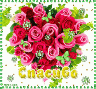 Foiz__752ae8c10ffbab4d06304a50432dc15d