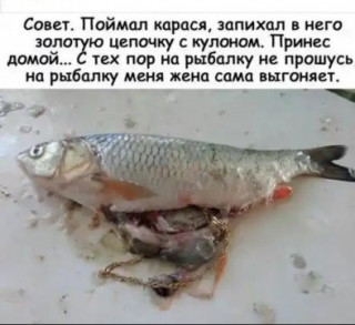 золотая рыбка