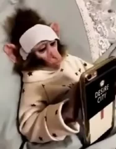 на_поправку