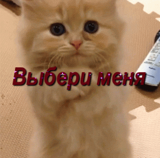 bloggif_5e2b5e92475fc