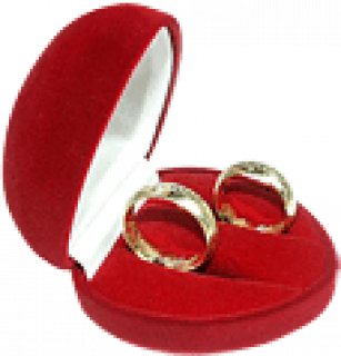 C__Data_Users_DefApps_AppData_INTERNETEXPLORER_Temp_Saved_Images_1651