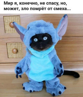 FB_IMG_1579234148308