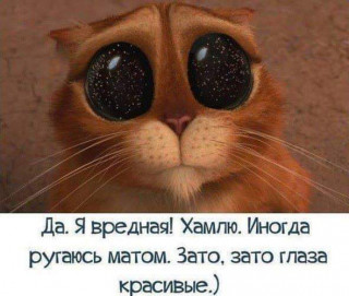FB_IMG_1579777763009