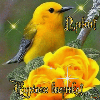 privet-chudesnogo-vtornika