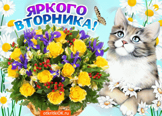 yarkogo-vtornika-49609-7572060