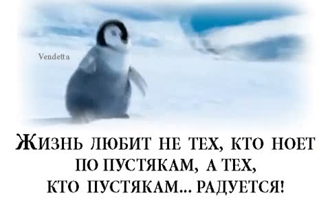 Не_ной_по_пустякам