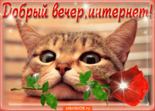 dobryy-vecher-inter-59468